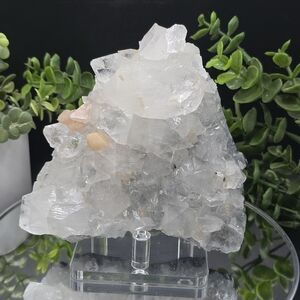 Apophyllite w Stilbite India
